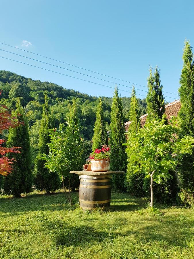 Family Hotel Chiflik Hills Exterior foto